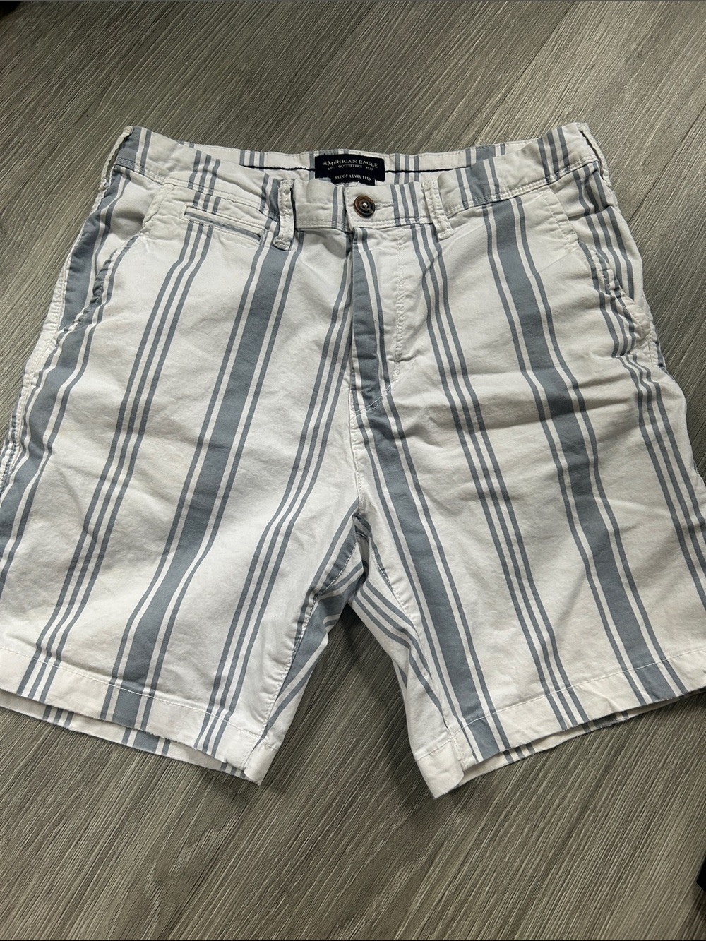 American Eagle Outfitters Men’s Slim Striped Chino Shorts
